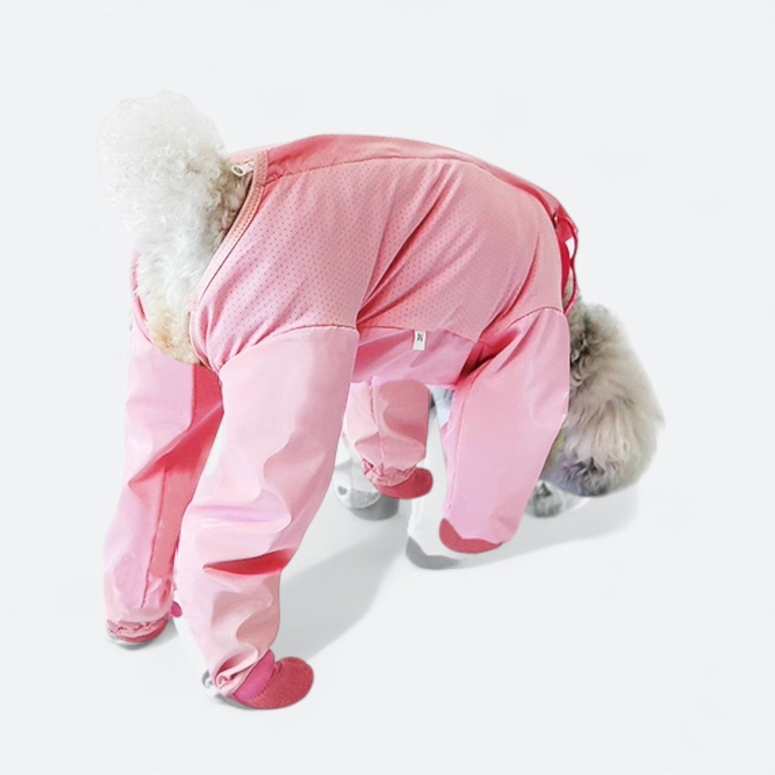 Full-Body-Dog-Rain-Jumpsuit-with-Shoes.jpg