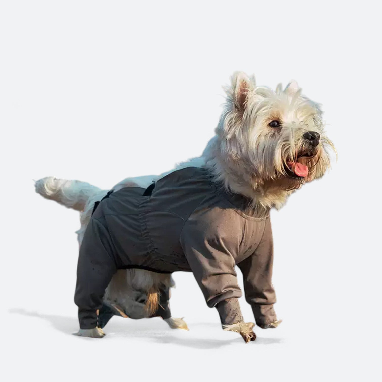 Full-Body-Waterproof-Dog-Jumpsuit.jpg