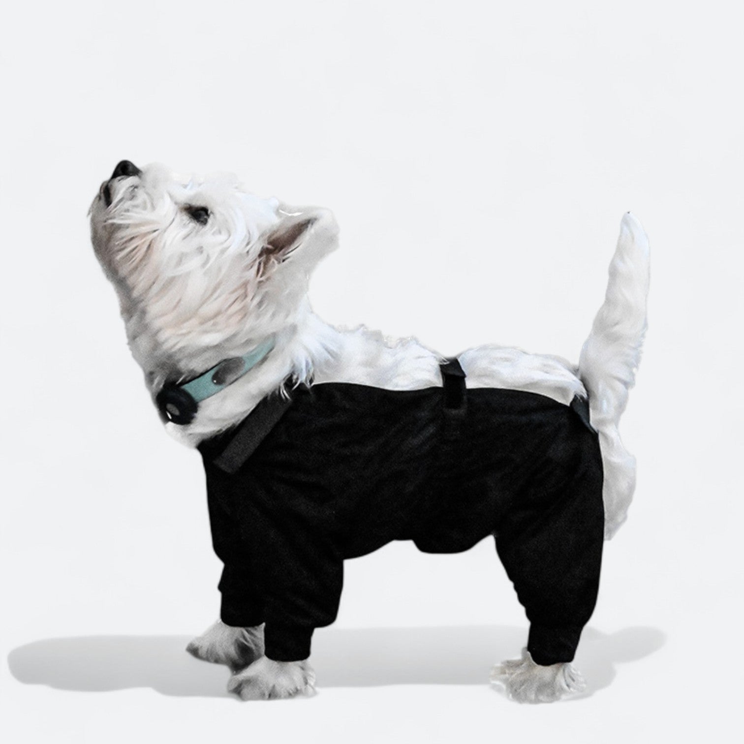 Full-Body-Waterproof-Dog-Jumpsuit.jpg