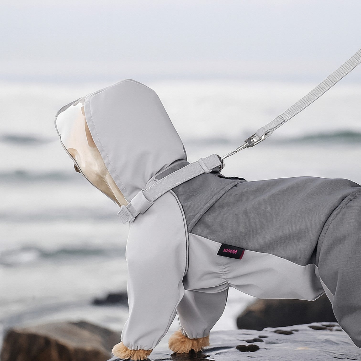 Full-Body-Dog-Raincoat.jpg
