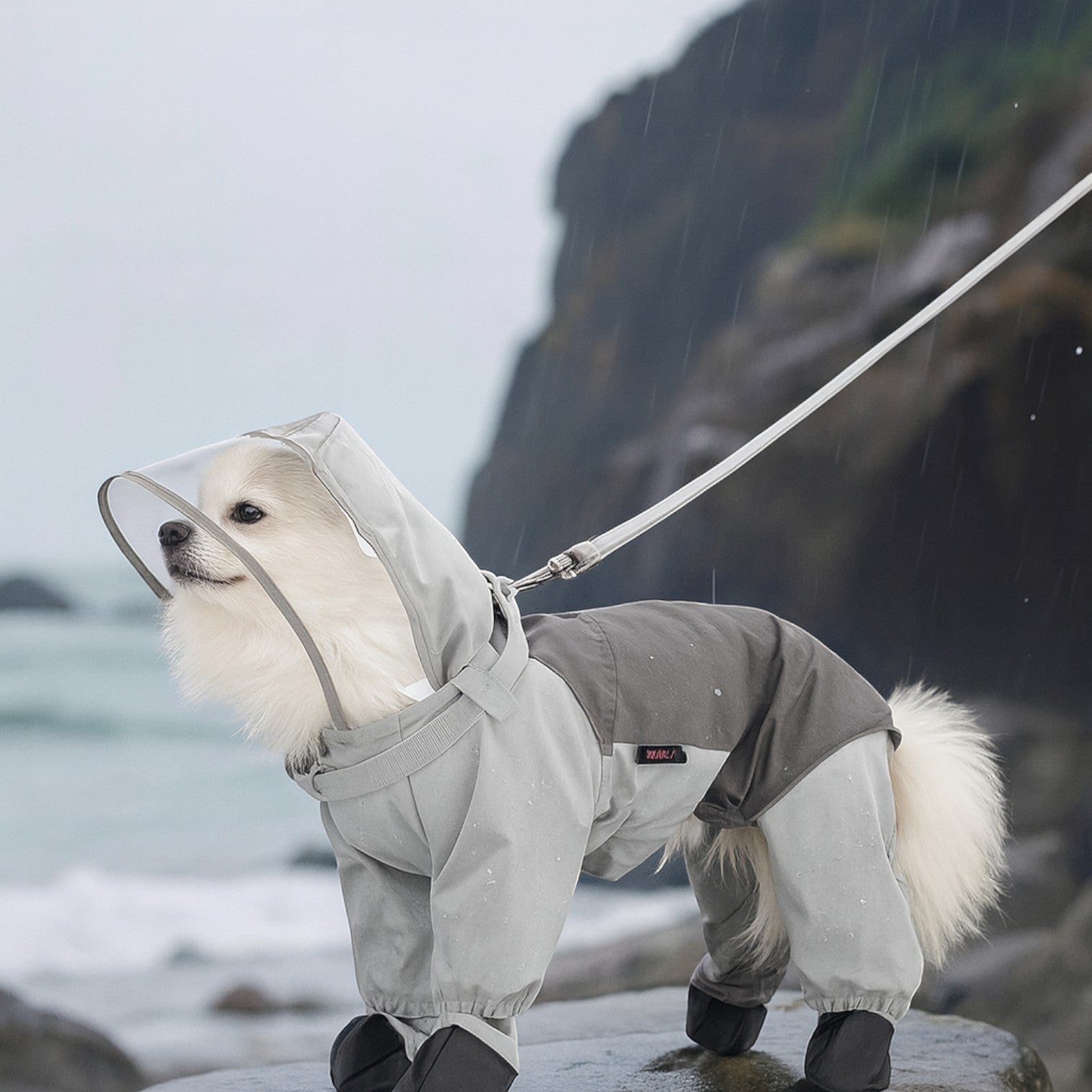 Full-Body-Dog-Raincoat.jpg