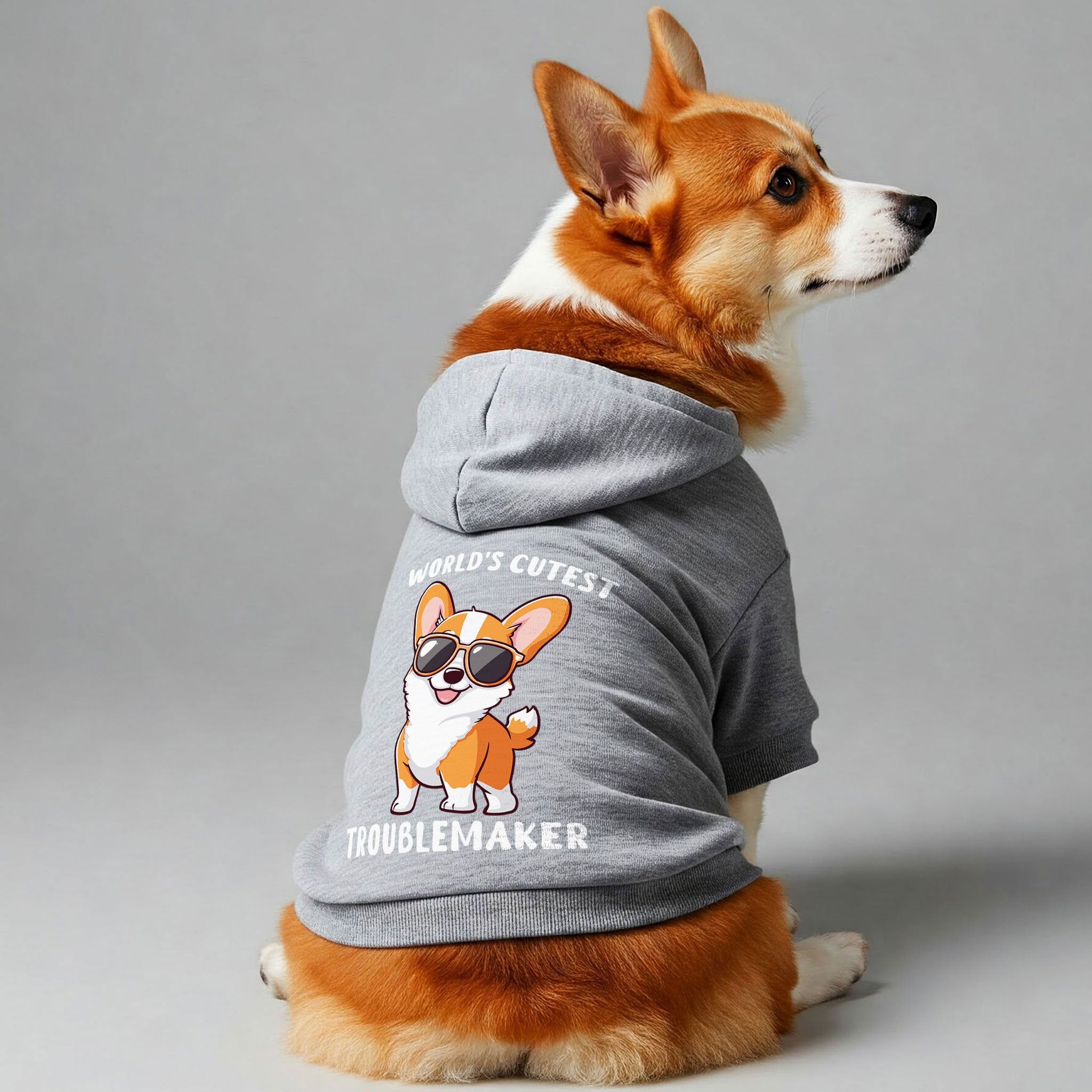 Funny Corgi hoodie with troublemaker print
