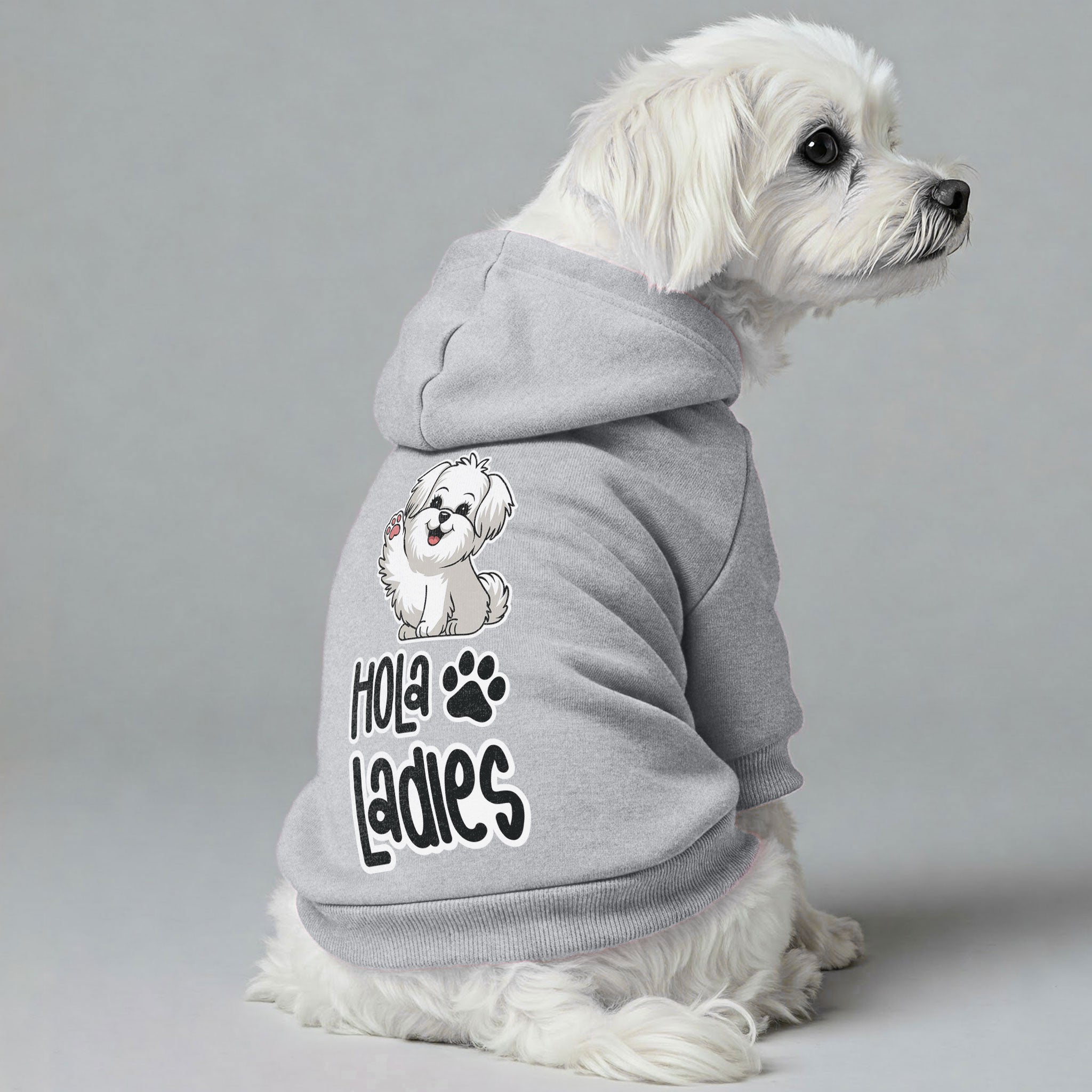 Hola Ladies  - Maltese Dog Hoodie