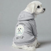 Maltese dog wearing a 'No Thoughts, Just Fluff' hoodie