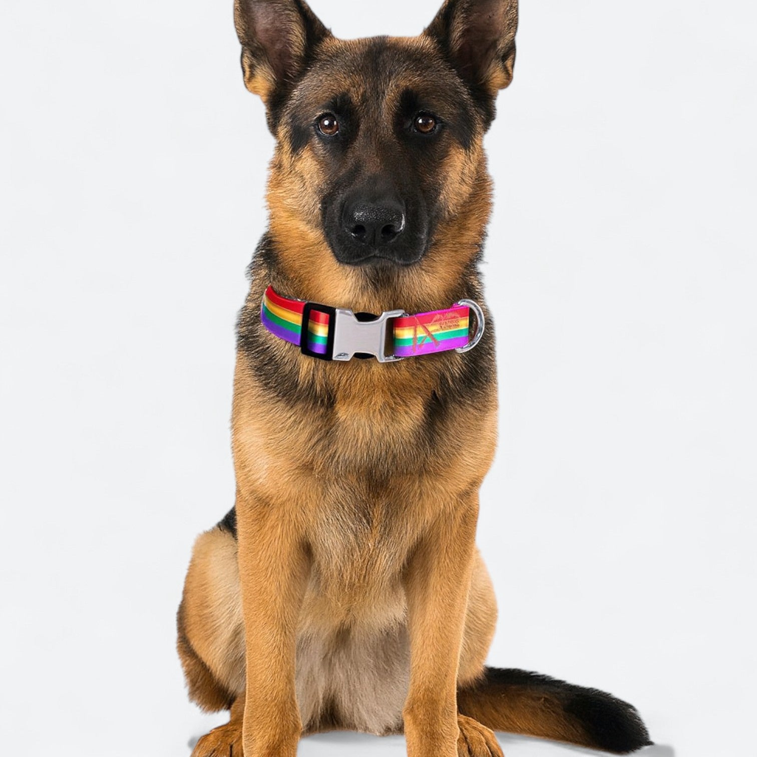 Galaxy-Print-Dog-Collar.jpg