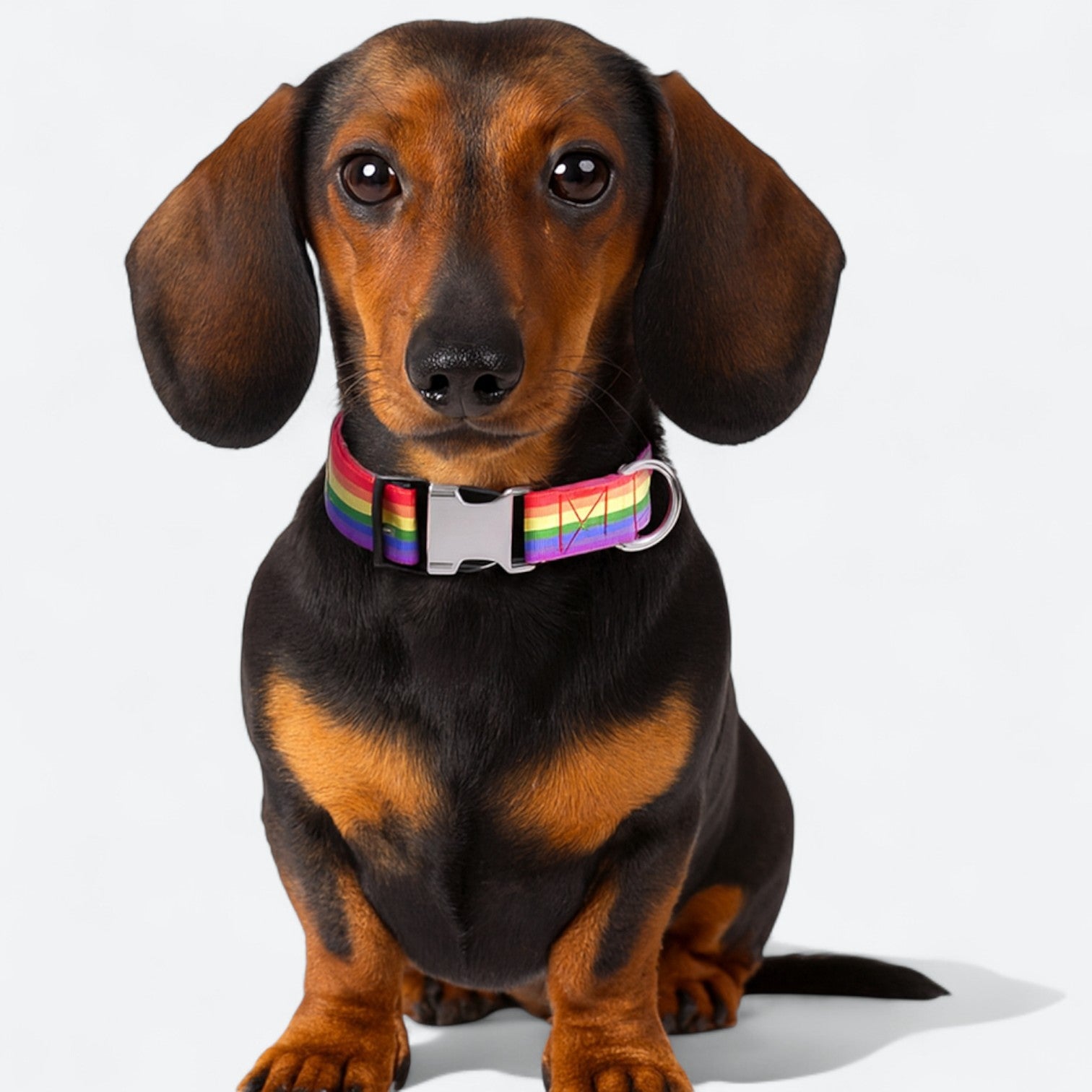 Galaxy-Print-Dog-Collar.jpg