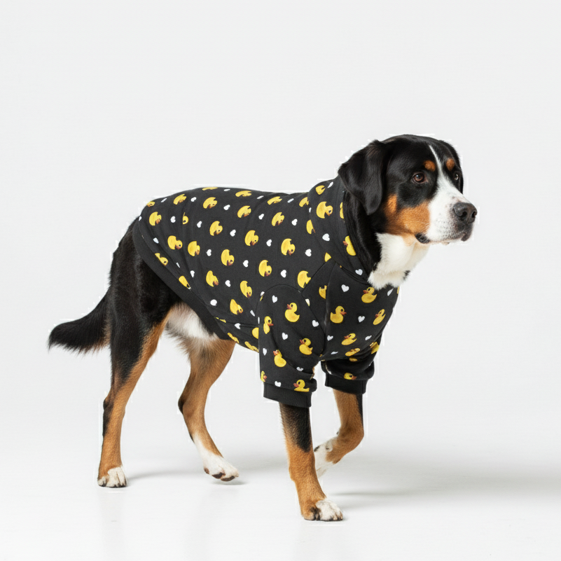 Edie - Dog Hoodie
