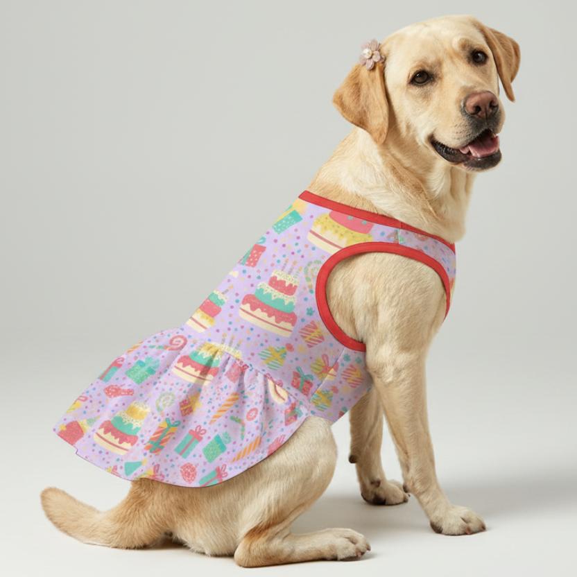 Birthday Cake Party Large Dog Ruffle Dog Dress