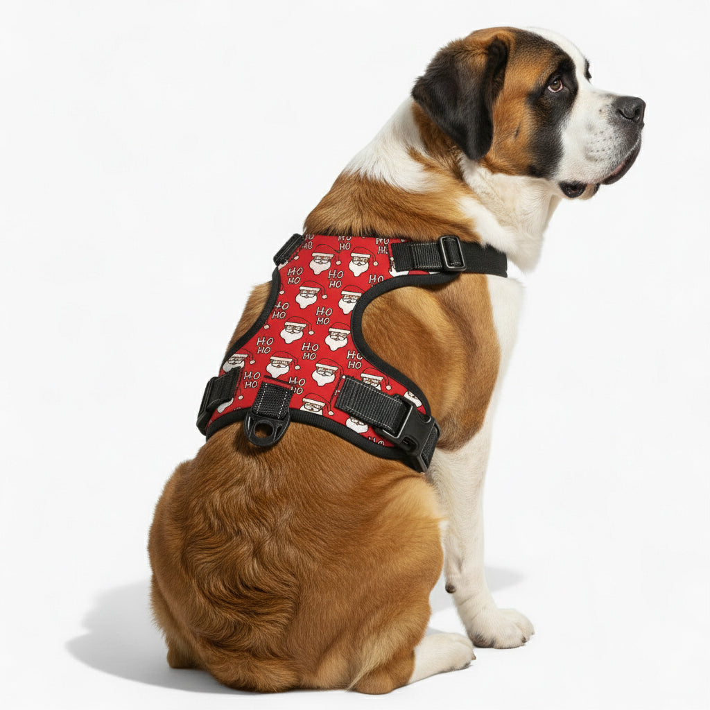 Buddy - NO-PULL Dog Harness & Leash Set | for small and large Dogs