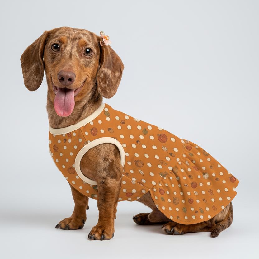 Autumn Pumpkin Polka Dot Small Dog Ruffle Dog Dress