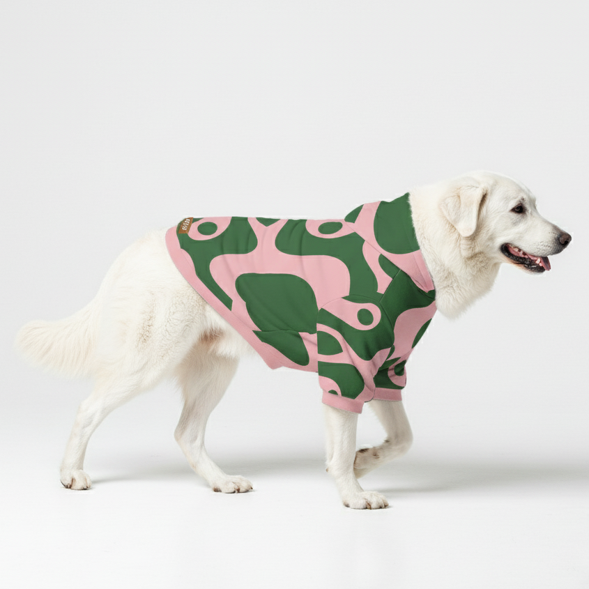 Diva - Dog Hoodie