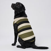 Olive Striped Big Dog Fleece Vest