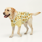 Chester - Dog Wool Sweater
