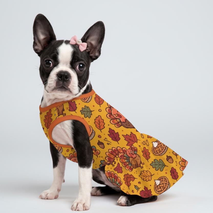 Thanksgiving Turkey Feast Small Dog Ruffle Dog Dress