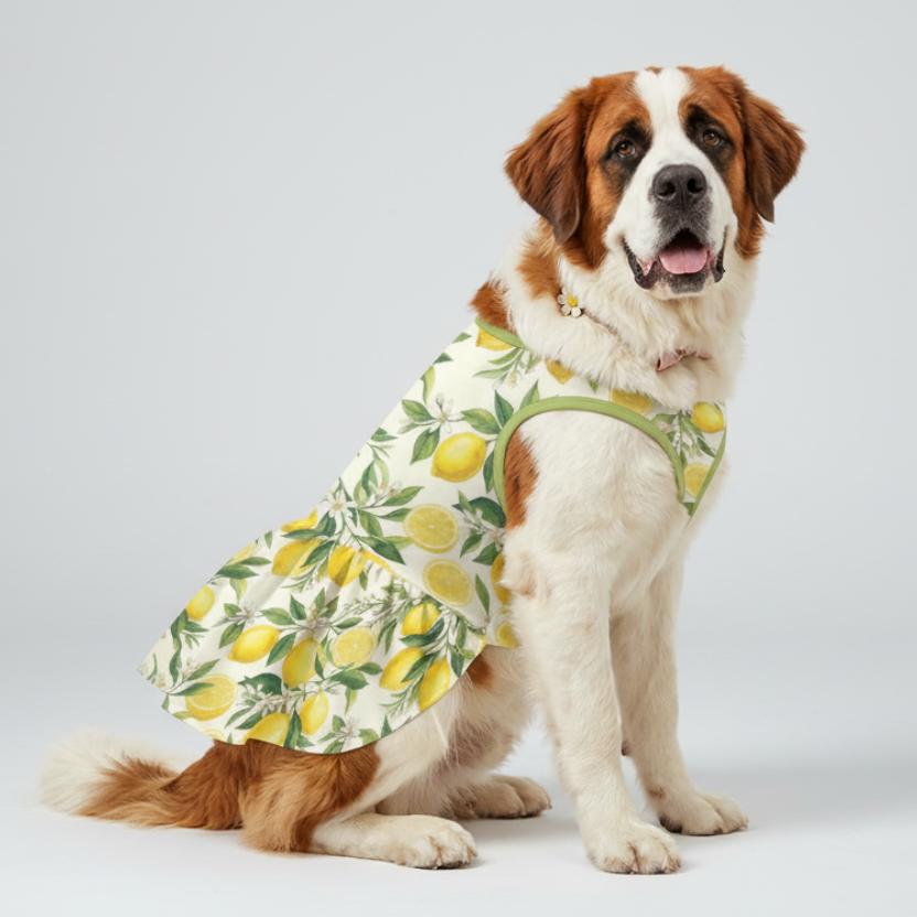 Mediterranean Lemon Blossom Large Dog Ruffle Dog Dress