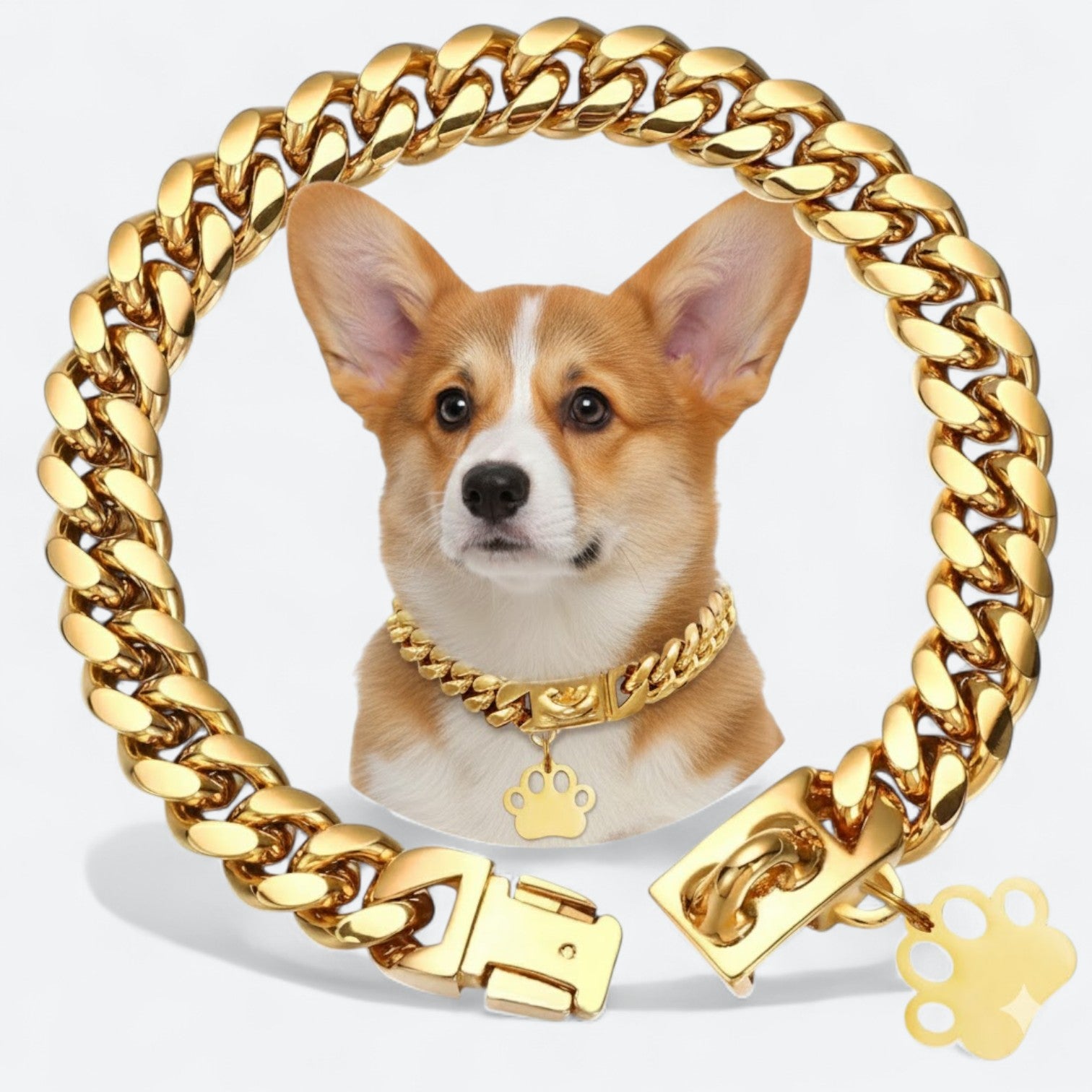 Gold-Plated-Stainless-Steel-Dog-Collar.jpg
