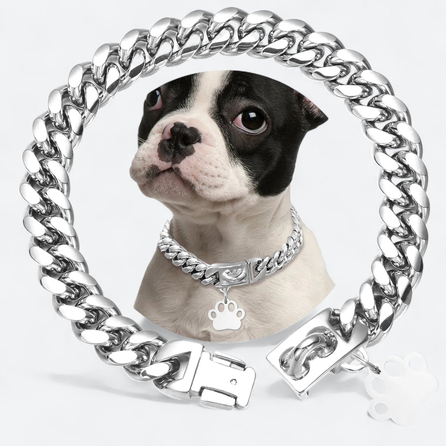 Gold-Plated-Stainless-Steel-Dog-Collar.jpg