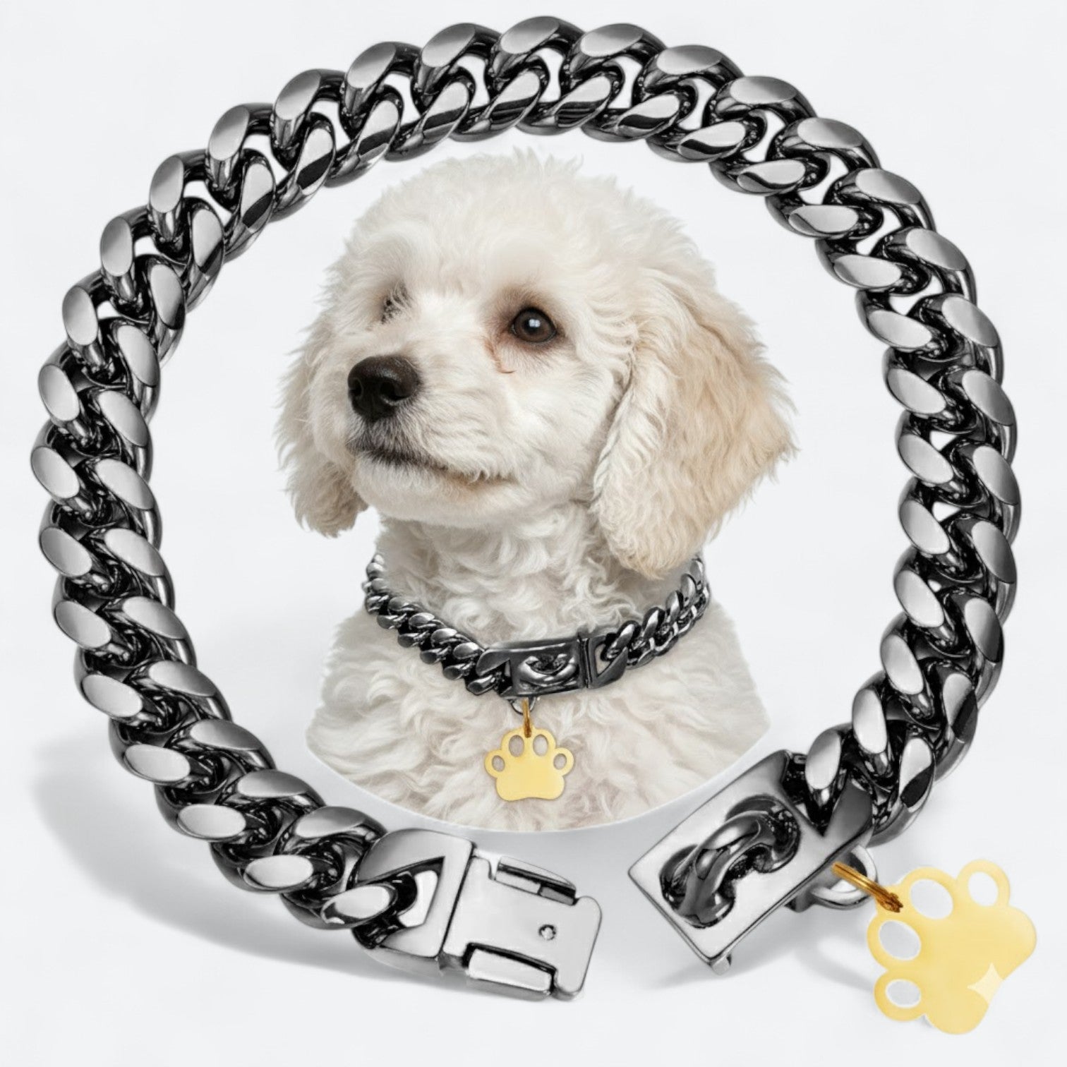 Gold-Plated-Stainless-Steel-Dog-Collar.jpg
