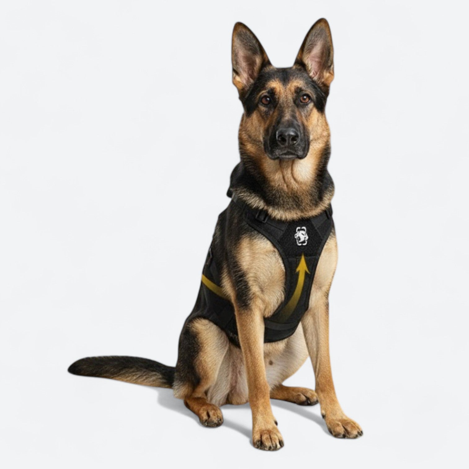 Guard-Dog-Walking-Aid-Harness.jpg