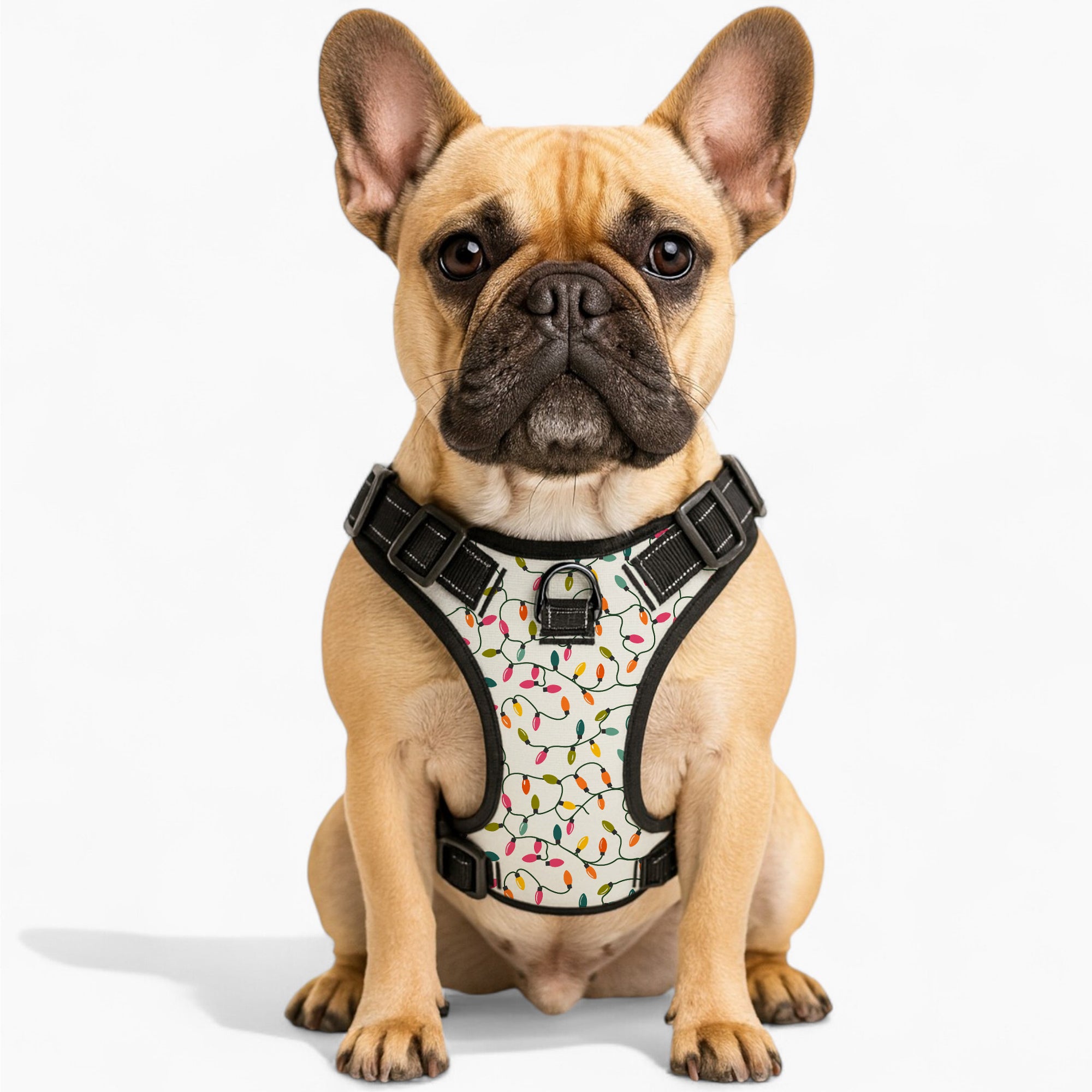 Sam - NO-PULL Dog Harness & Leash Set | for small and large Dogs