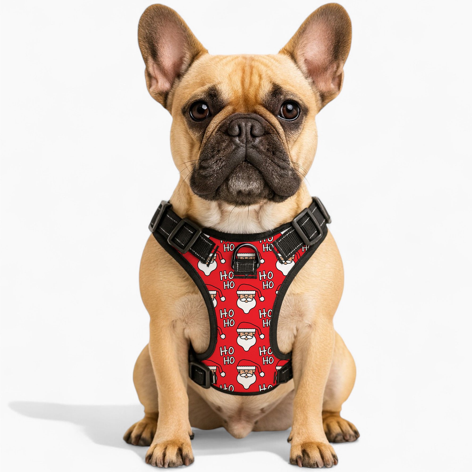 Buddy - NO-PULL Dog Harness & Leash Set | for small and large Dogs