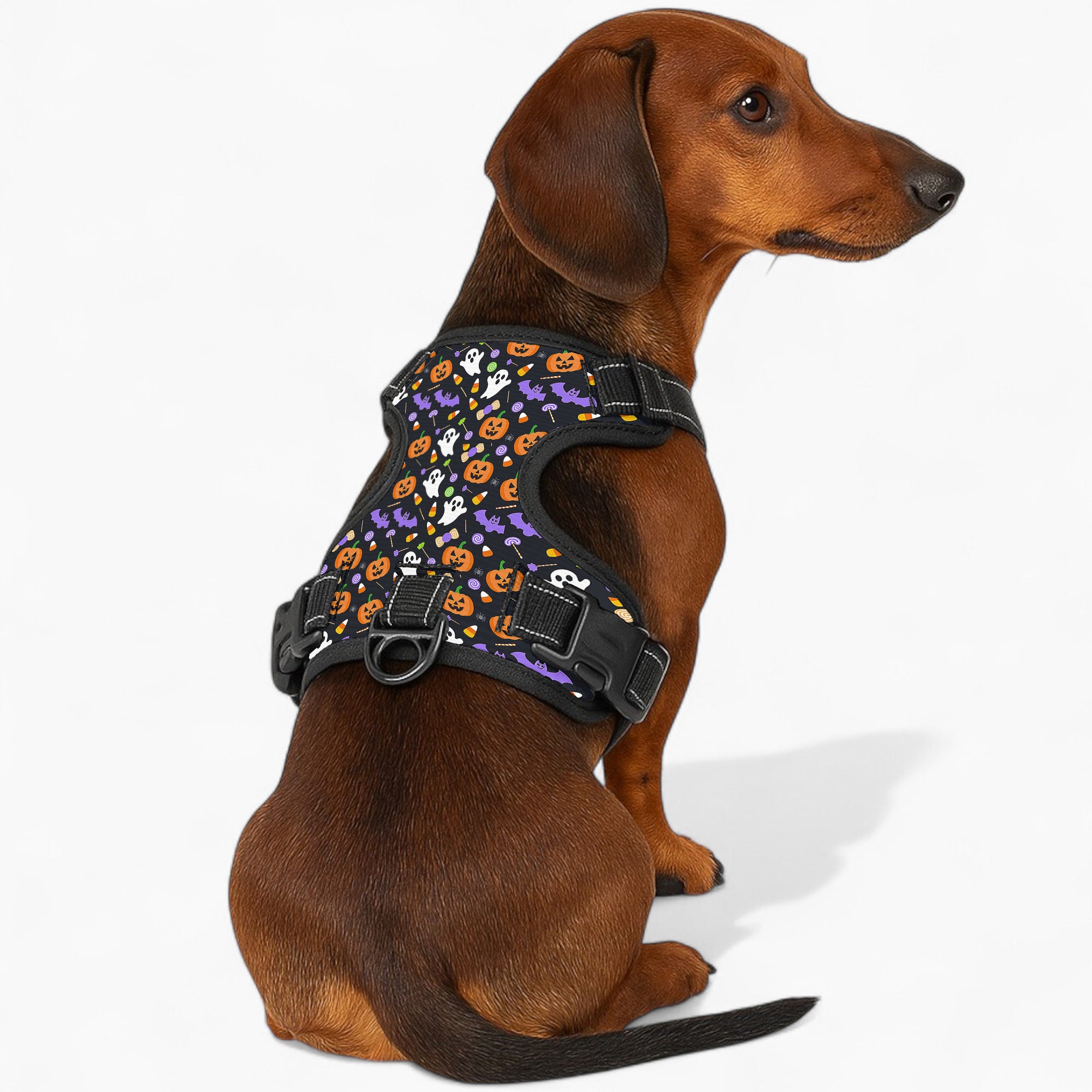 Duke  - NO-PULL Dog Harness & Leash Set | for small and large Dogs