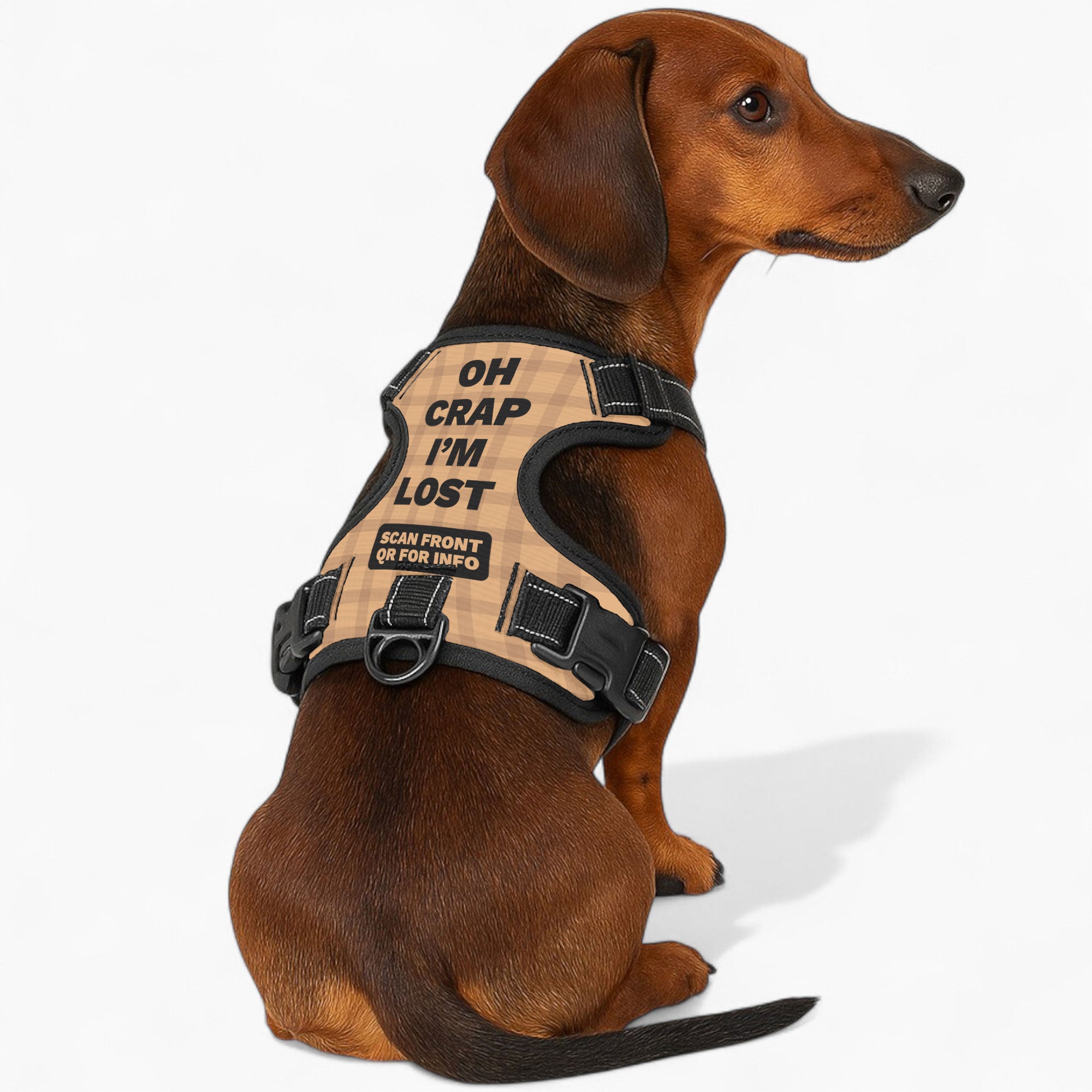 Apollo - Custom Dog harness