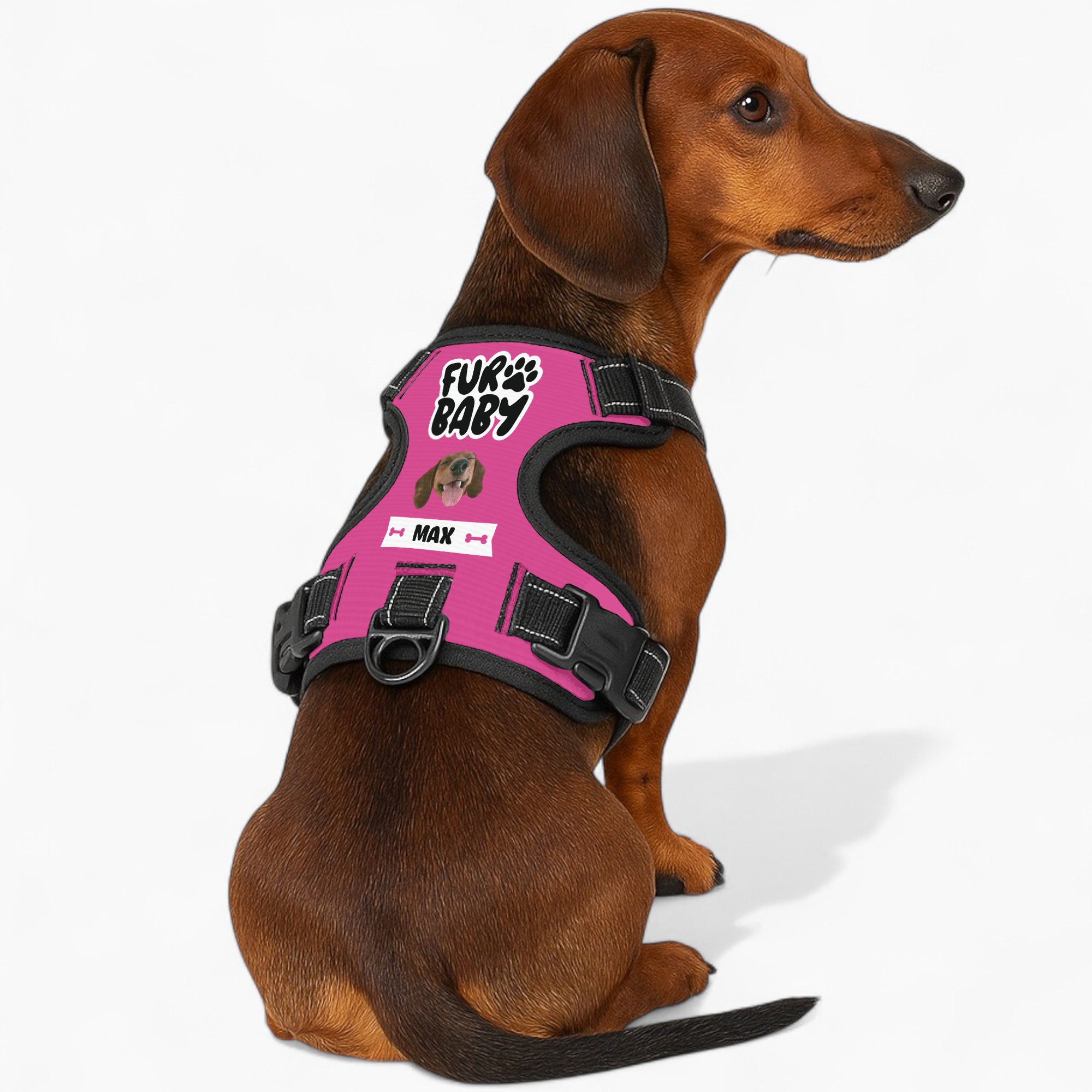 Ajax - Custom Dog harness