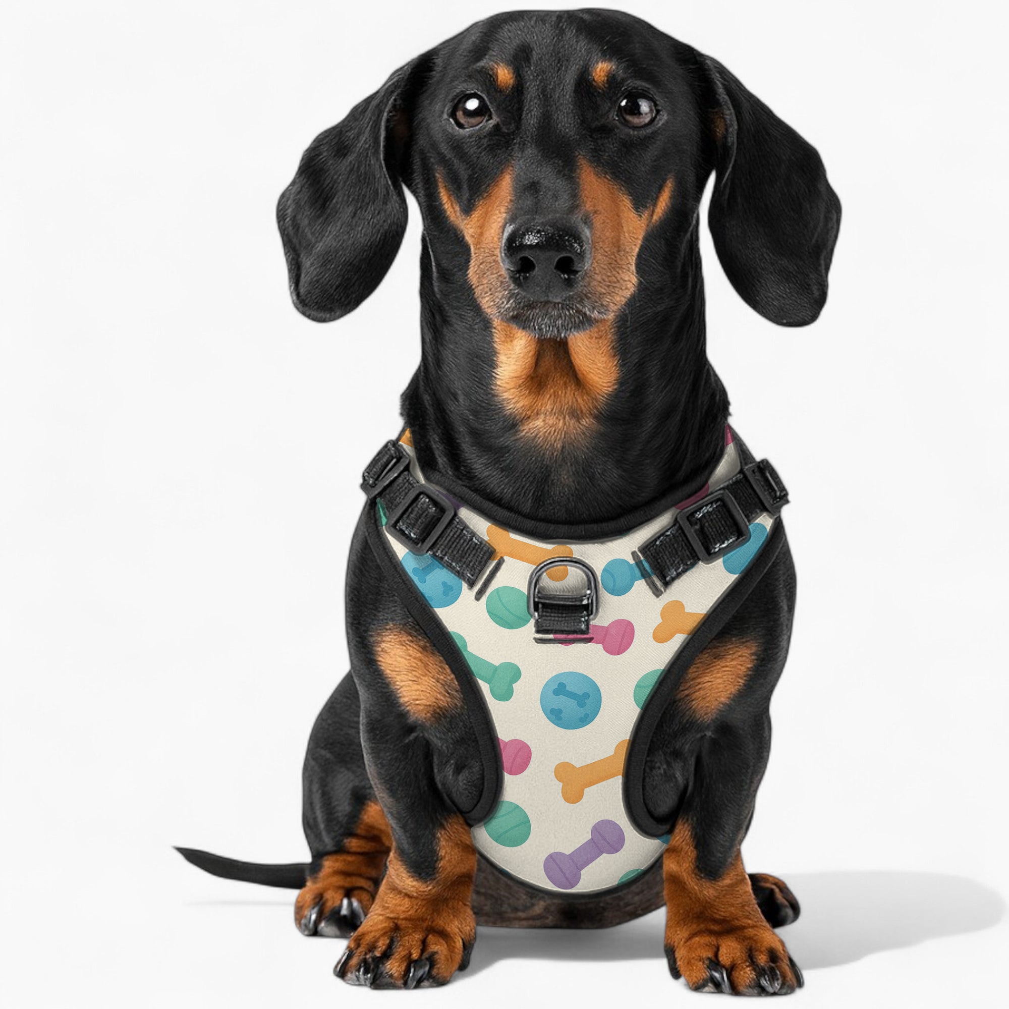 Luke - NO-PULL Dog Harness & Leash Set | for small and large Dogs