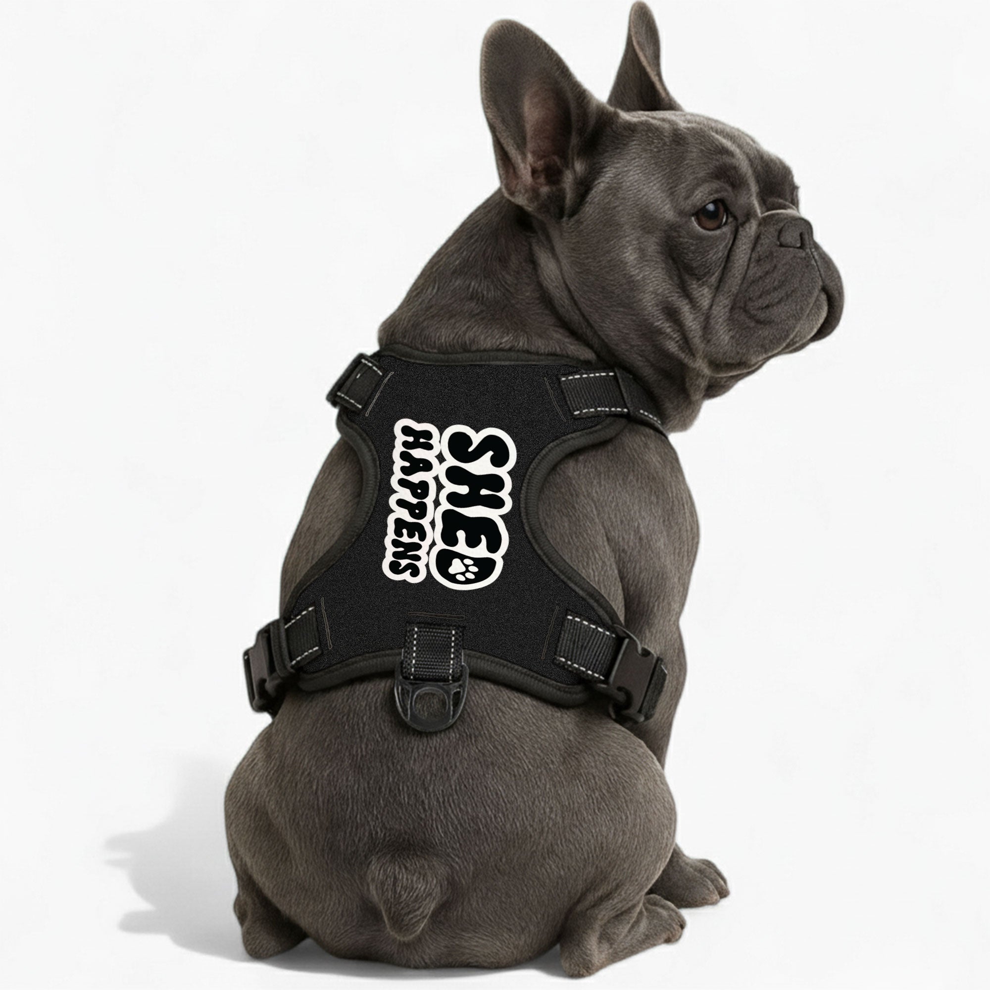 Haley - Custom Dog harness