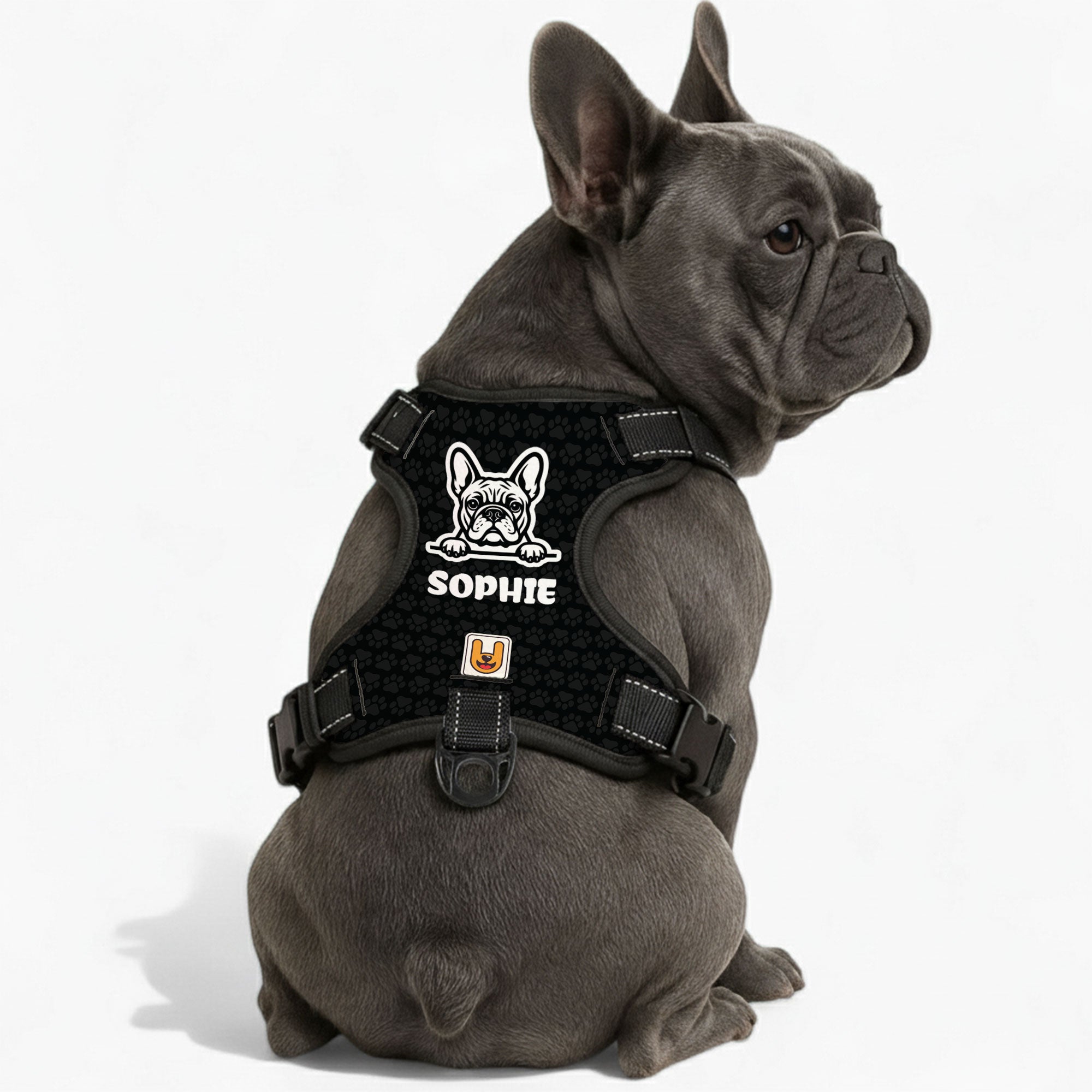 Prada - Custom Dog harness