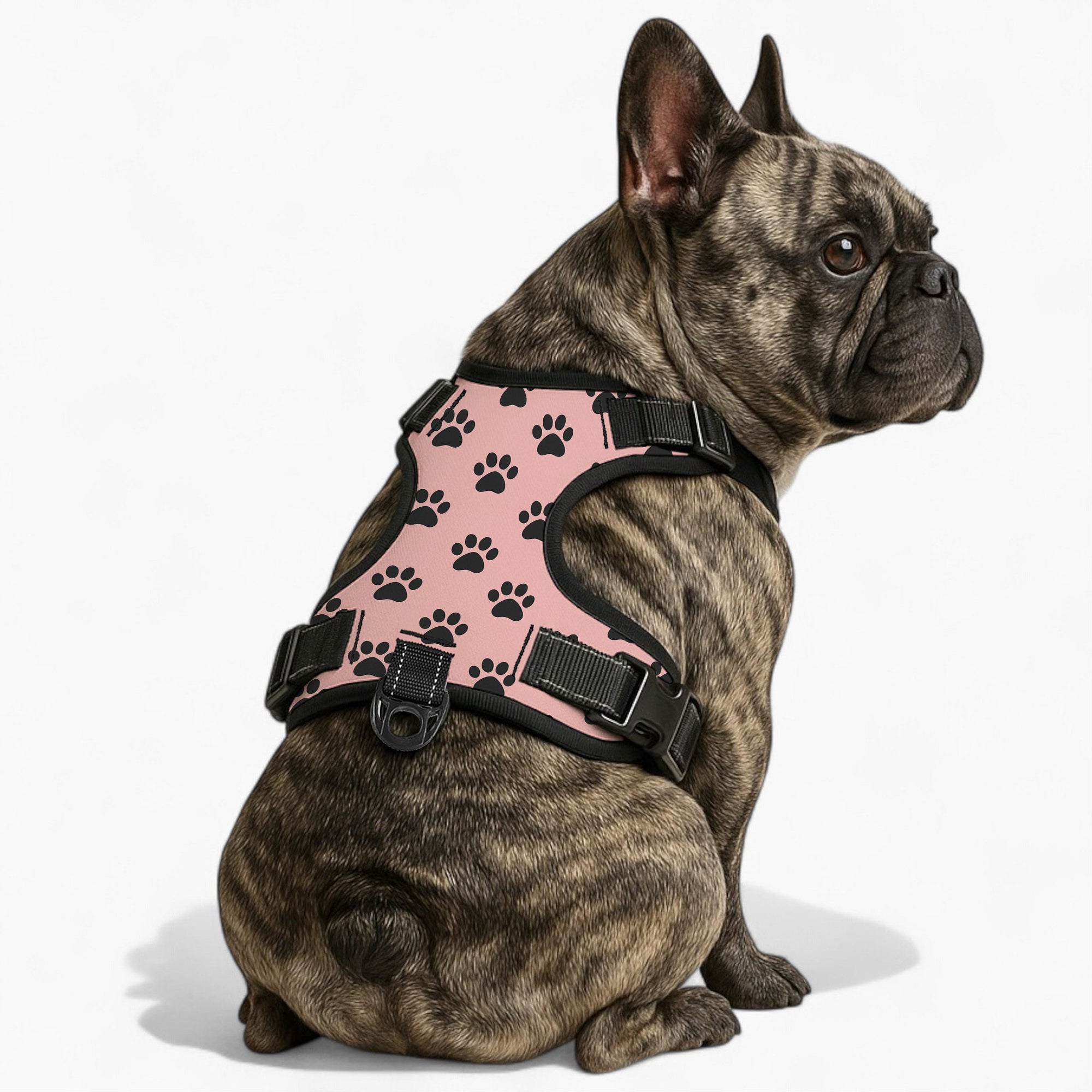 Charlie - NO-PULL Dog Harness & Leash Set | for small and large Dogs
