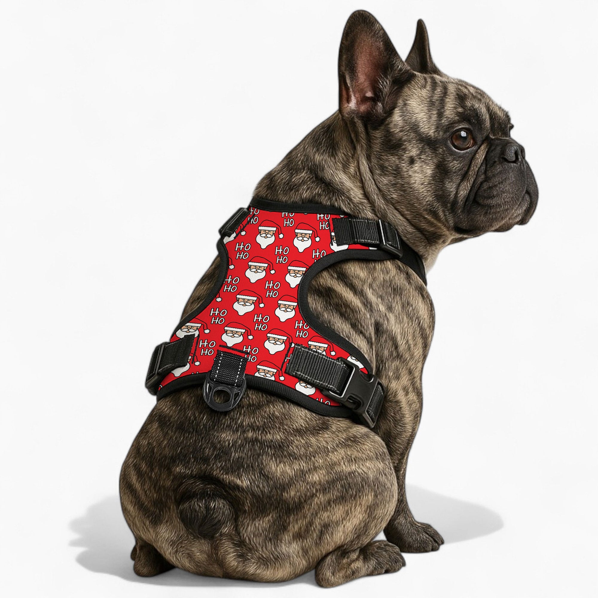 Buddy - NO-PULL Dog Harness & Leash Set | for small and large Dogs