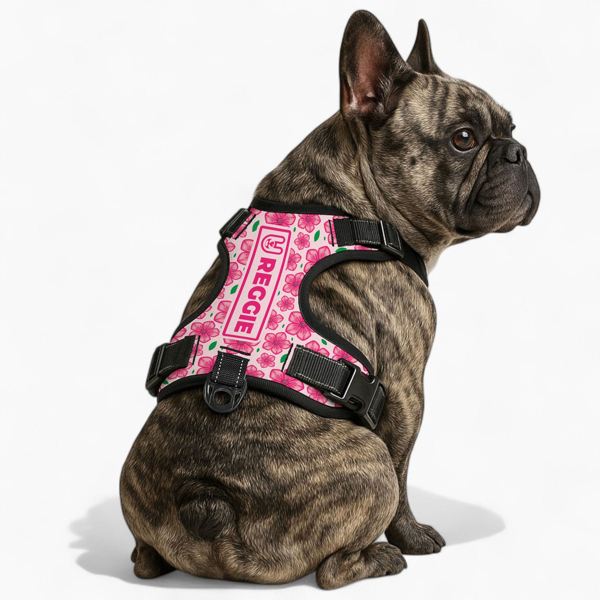 Tally - Custom Dog harness