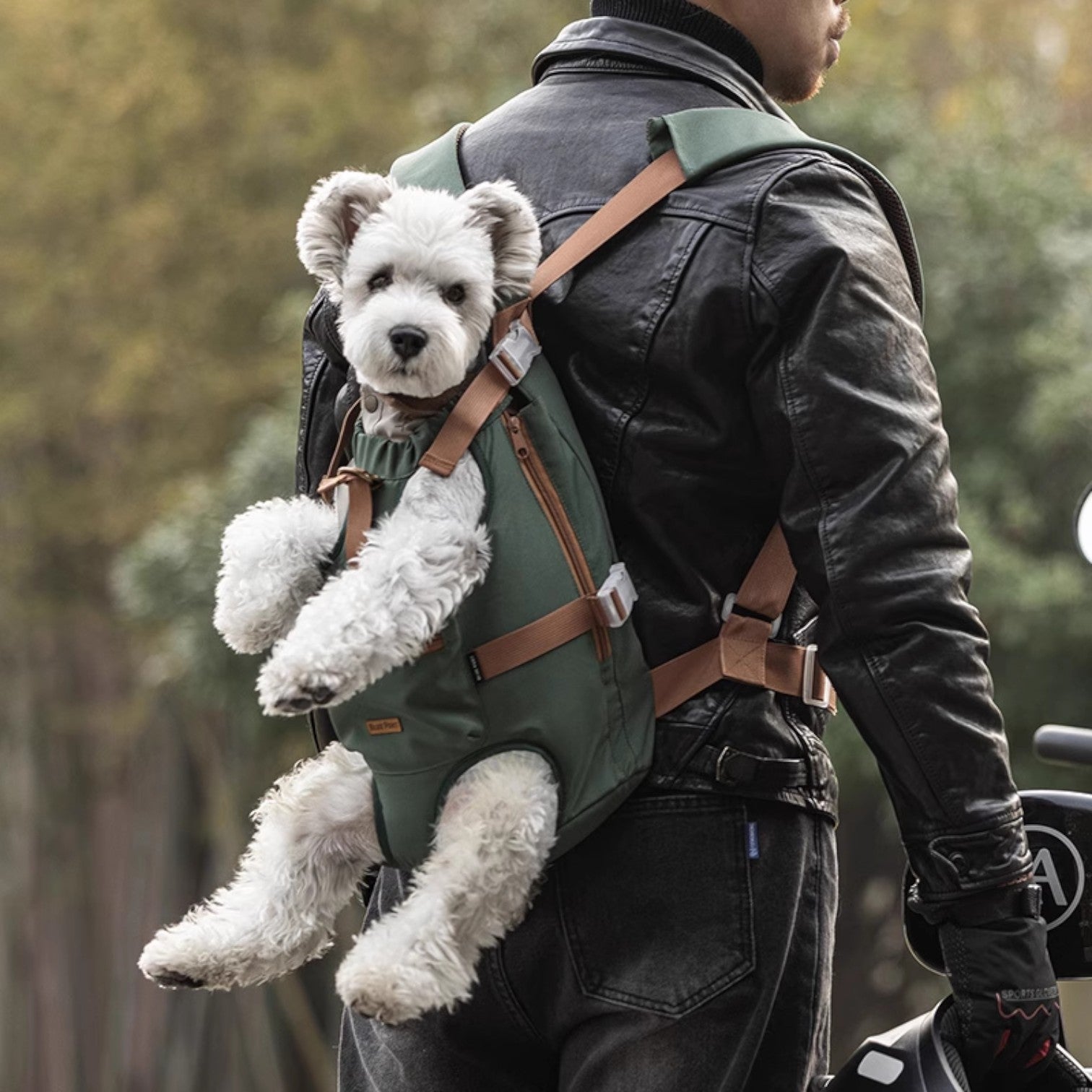 Handy-Outdoor-Dog-Backpack-Carrier.jpg