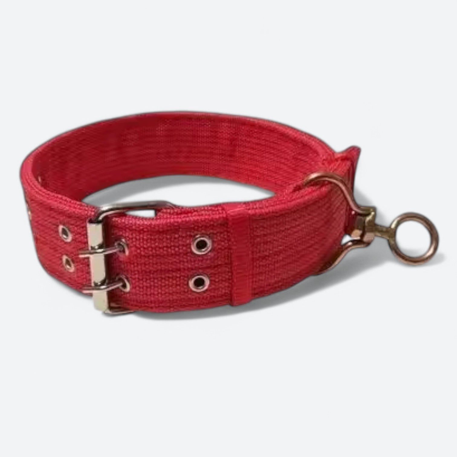 Heavy-Duty-Adjustable-Dog-Collar.jpg