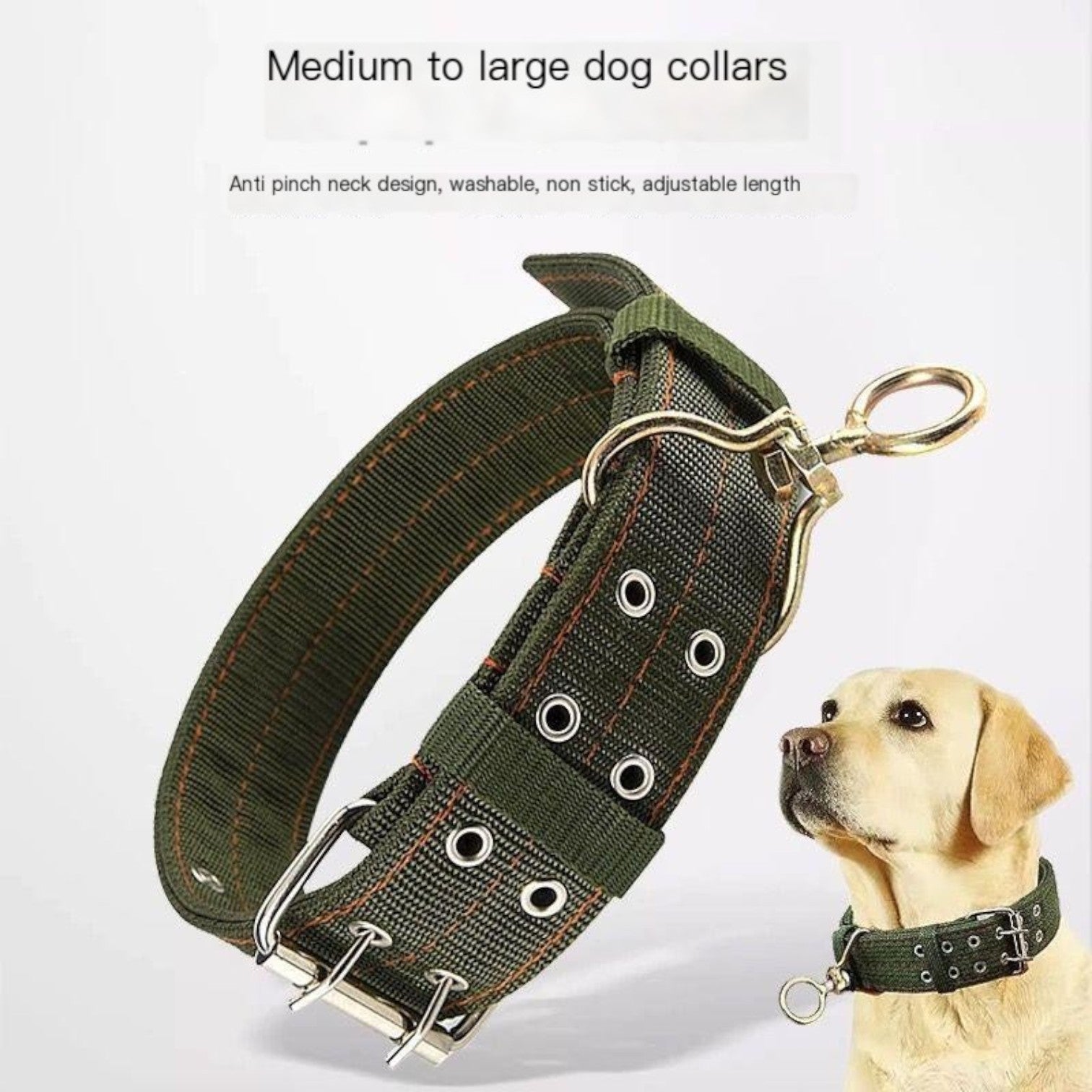 Heavy-Duty-Adjustable-Dog-Collar.jpg