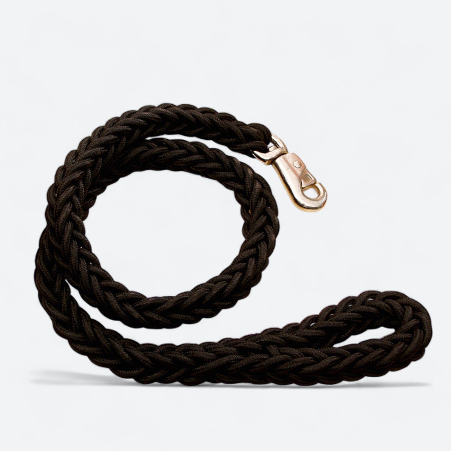 Heavy-Duty-Braided-Nylon-Dog-Leash.jpg
