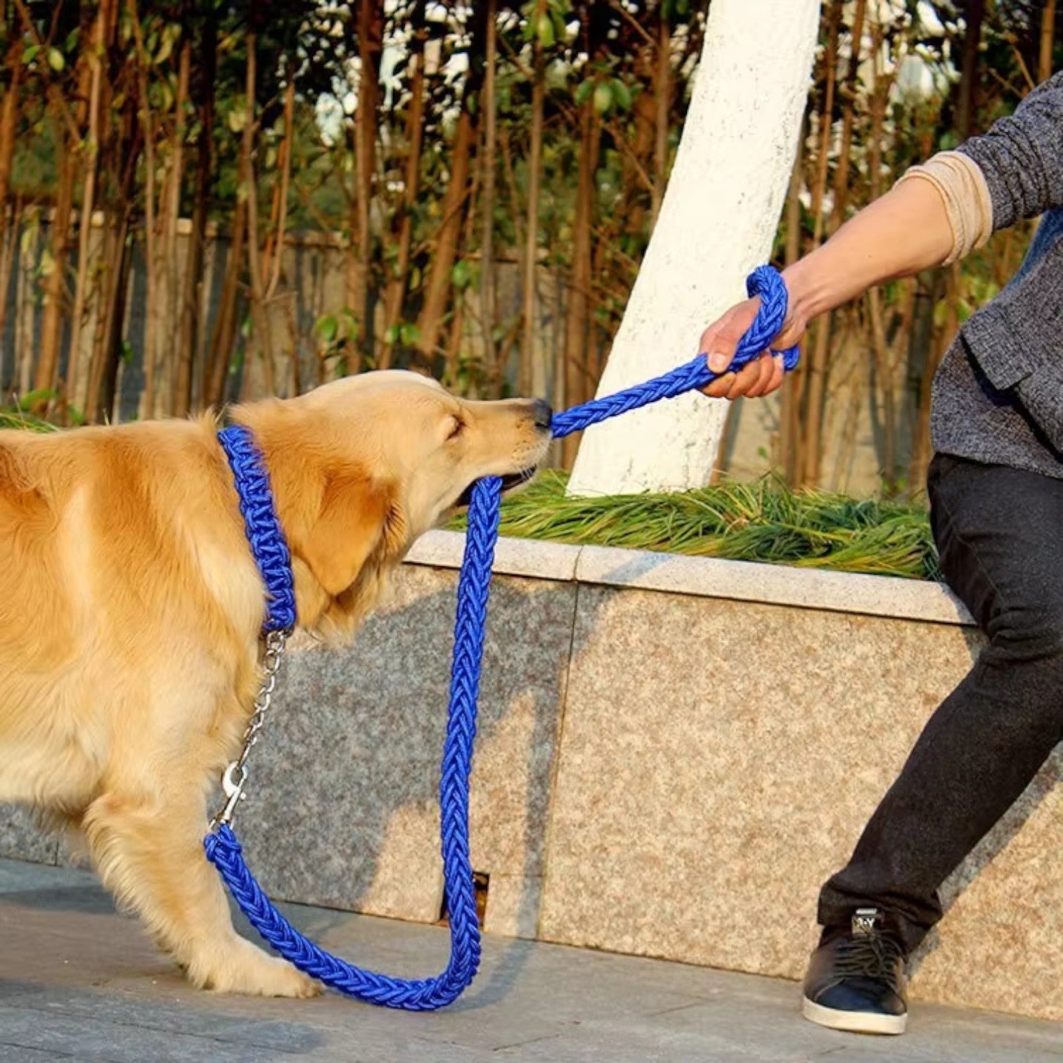 Heavy-Duty-Braided-Nylon-Dog-Leash.jpg