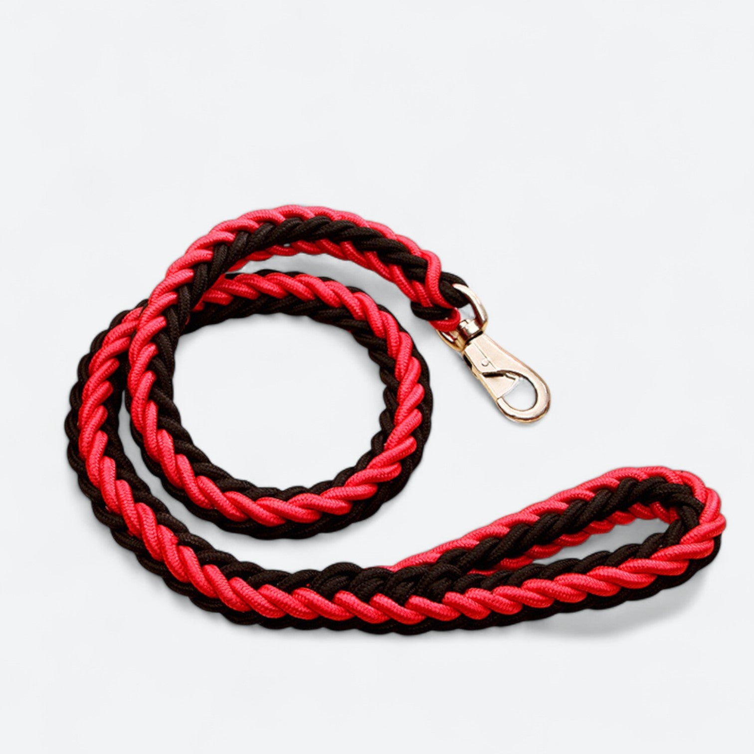 Heavy-Duty-Braided-Nylon-Dog-Leash.jpg