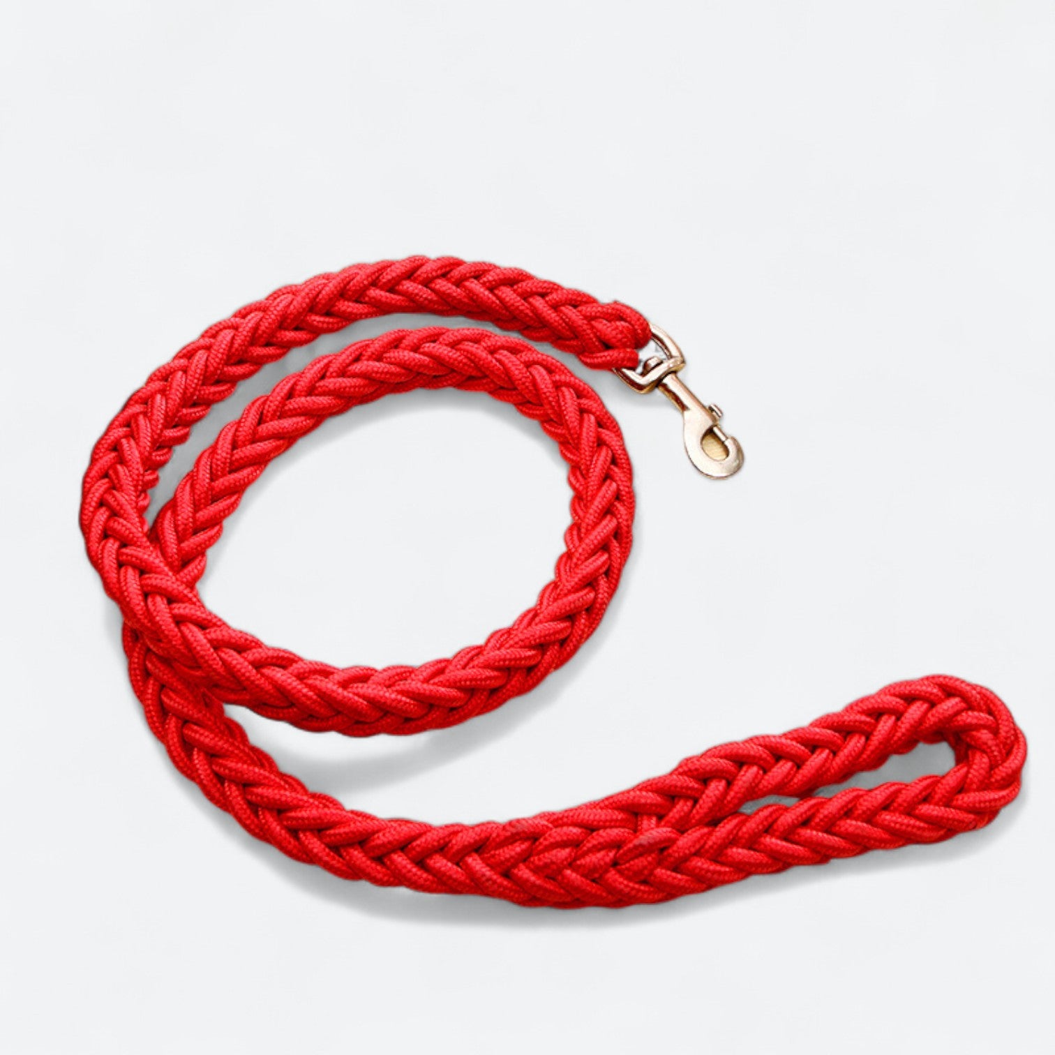 Heavy-Duty-Braided-Nylon-Dog-Leash.jpg