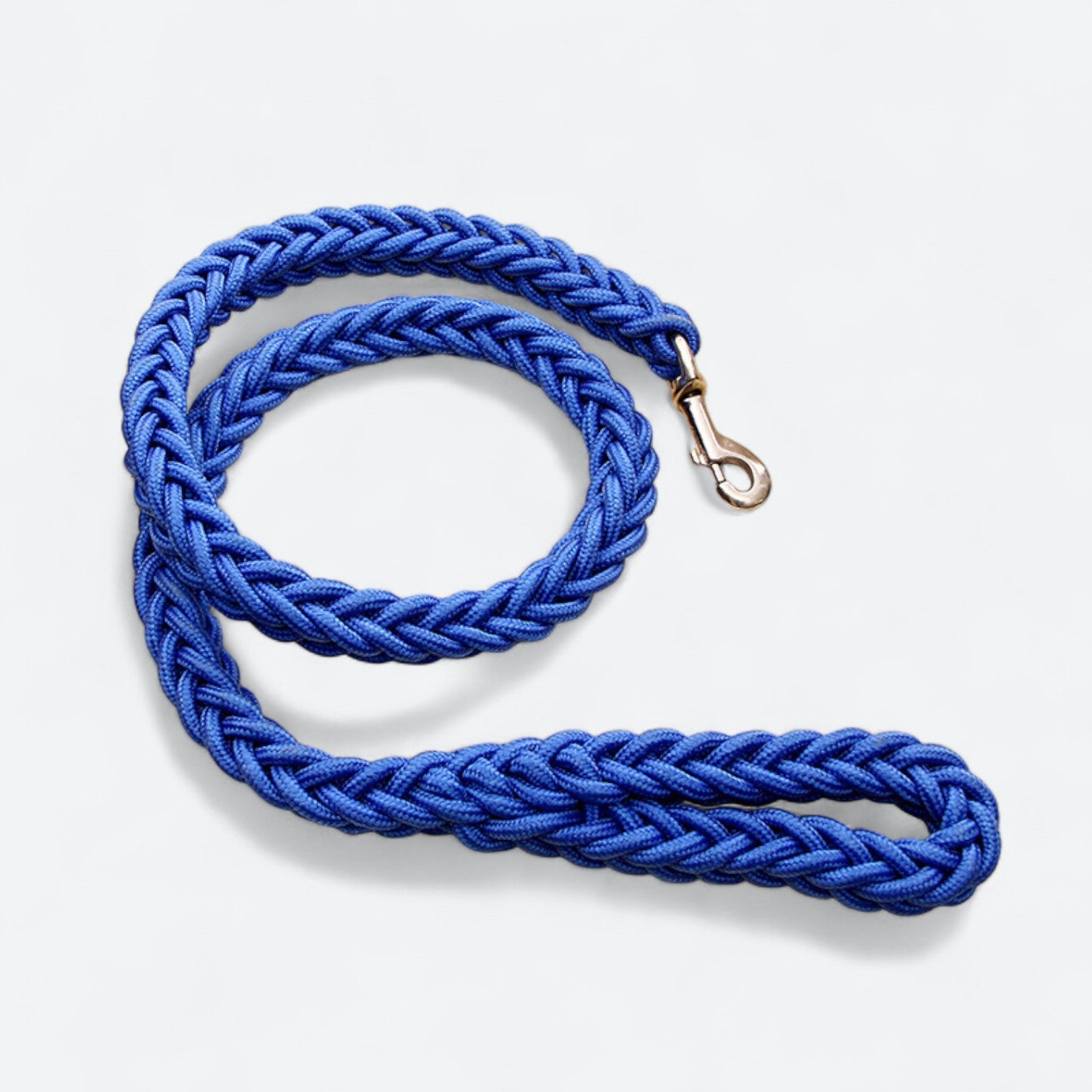 Heavy-Duty-Braided-Nylon-Dog-Leash.jpg