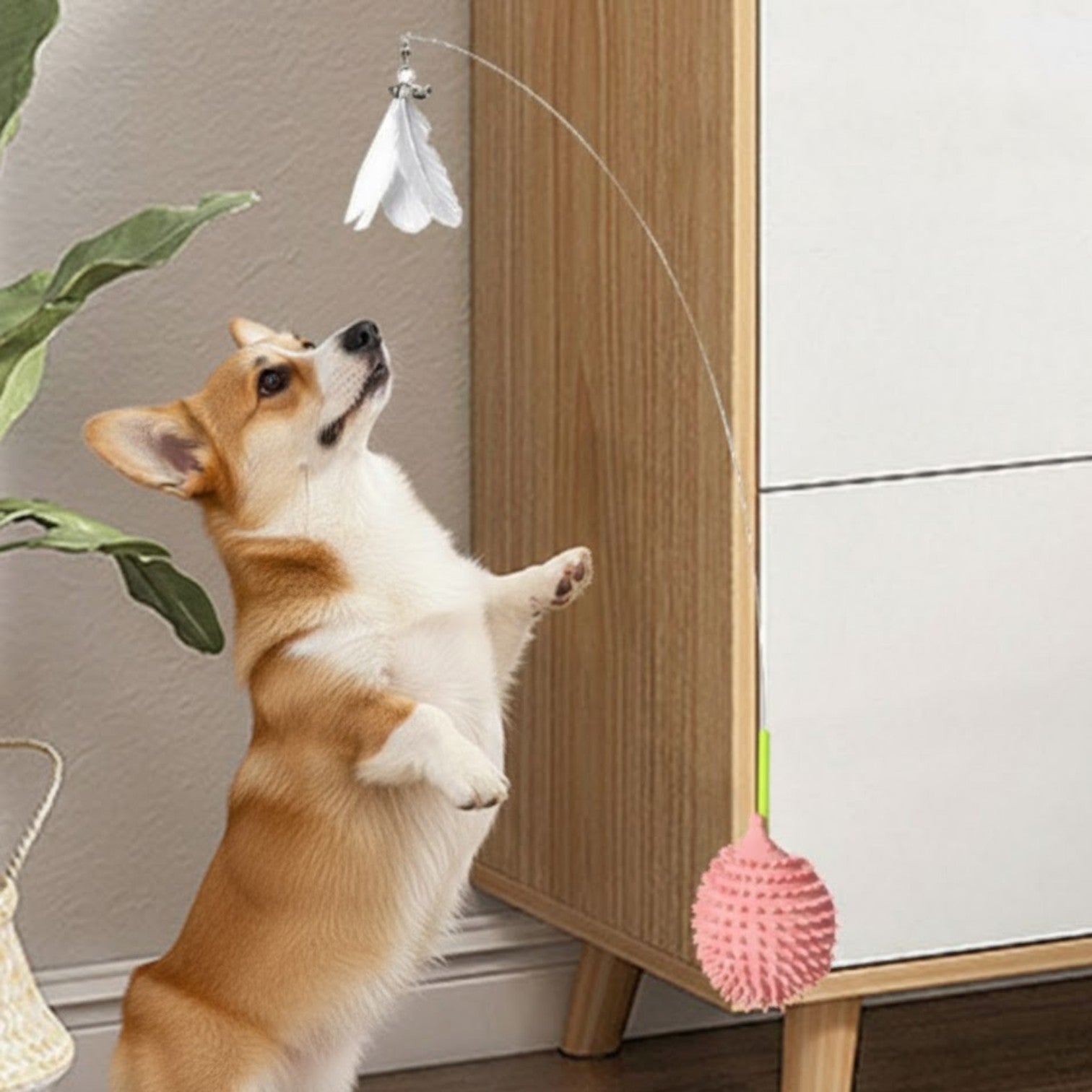 Hedgehog-Dog-Corner-Scratching-Toy.jpg