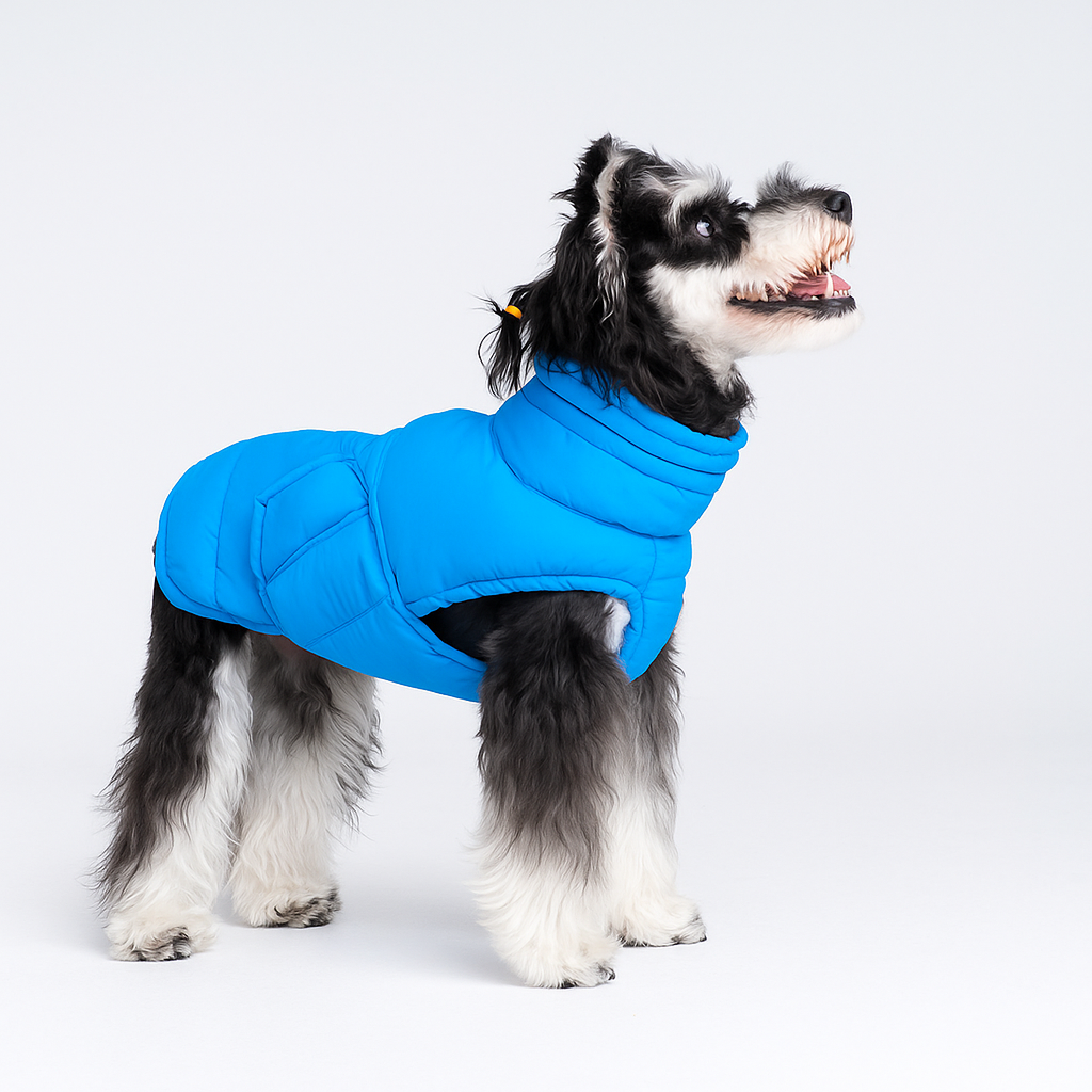 High Collar Cotton Coat for dogs