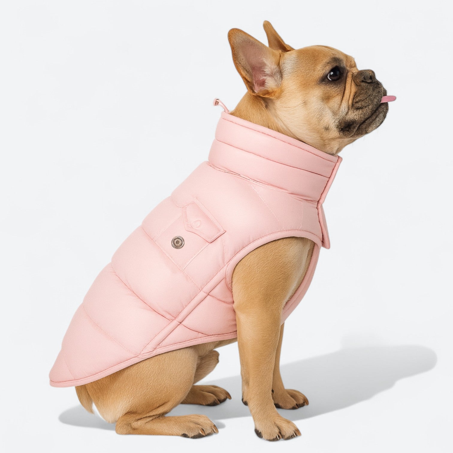 High-Collar-Winter-Dog-Coat.jpg