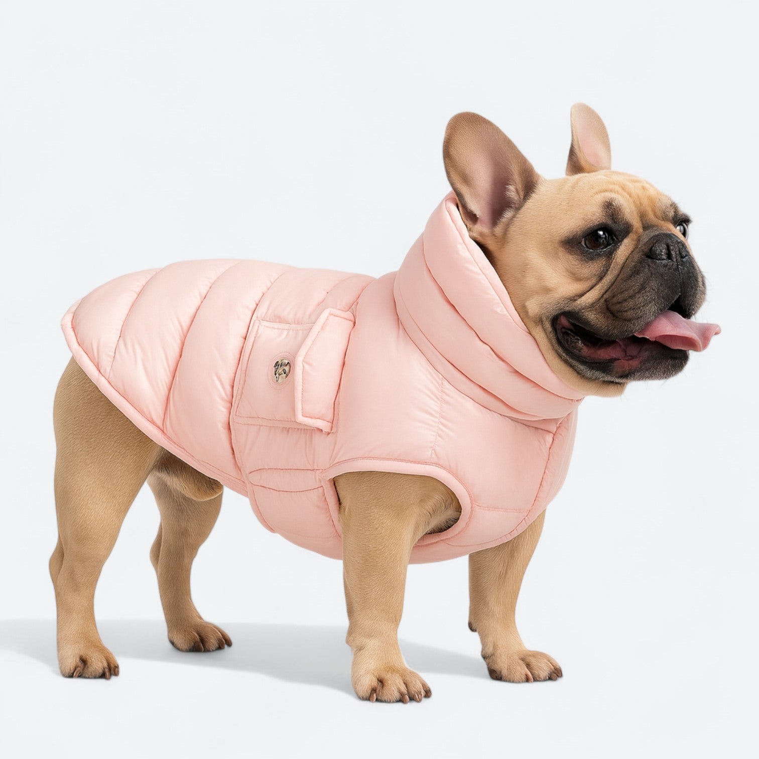 High-Collar-Winter-Dog-Coat.jpg