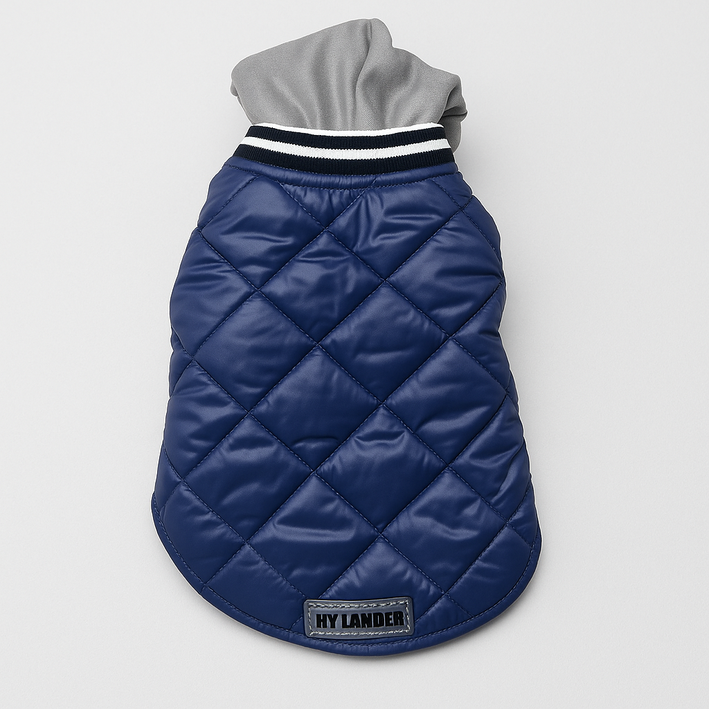 Hooded Dog Cotton Jacket