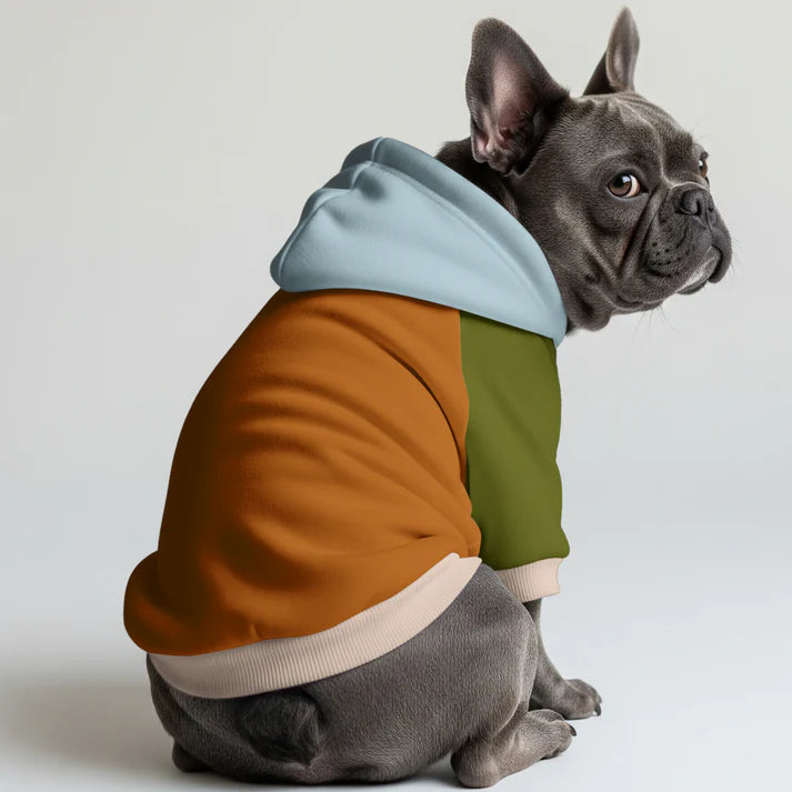 Ollie - Dog hoodie
