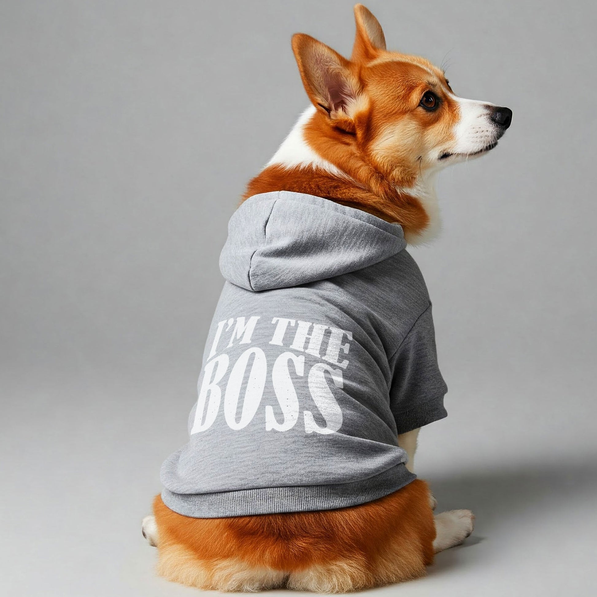 I’m the Boss'  Dog Hoodie in grey