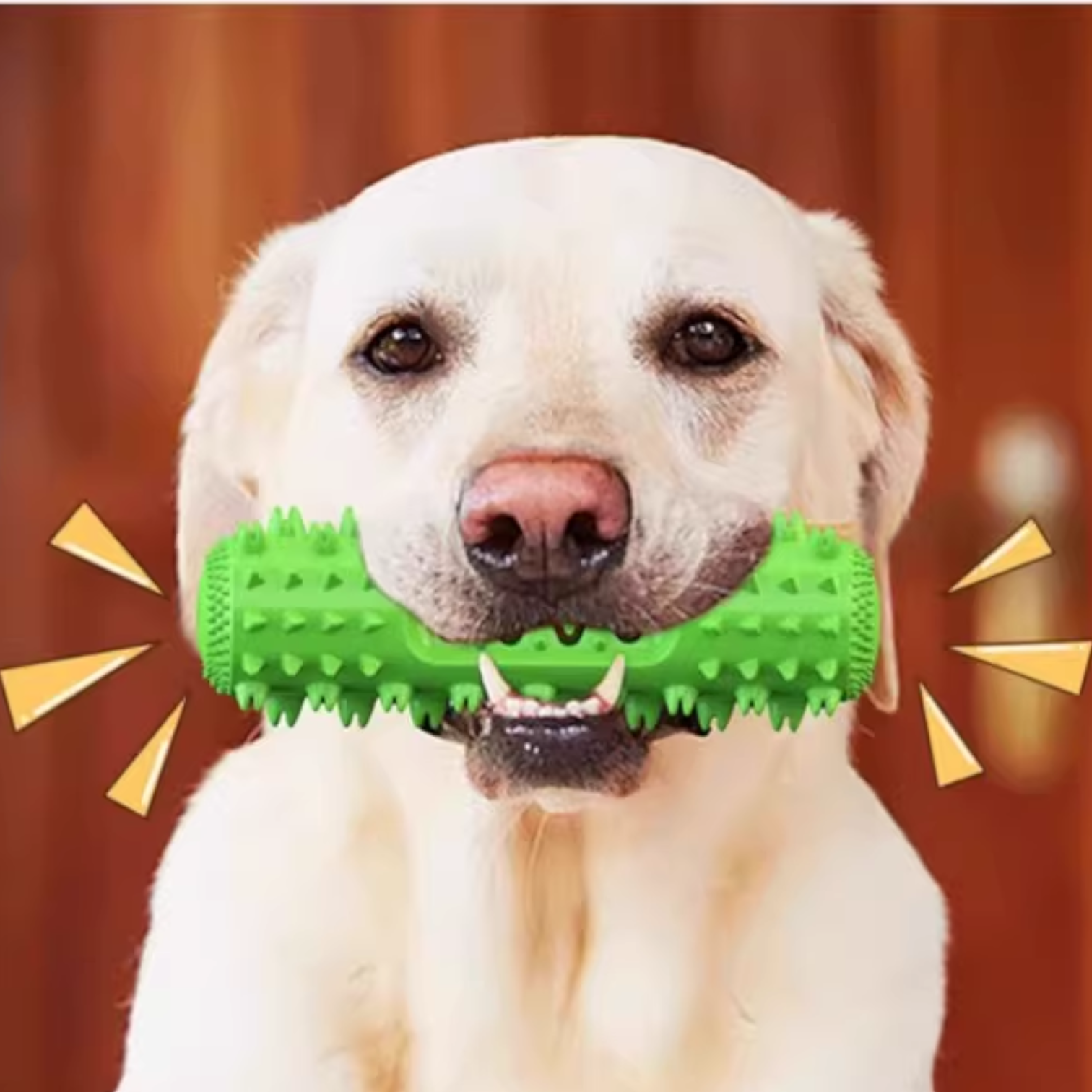 Indestructible-Dog-Dental-Chew-Stick-Toy.jpg